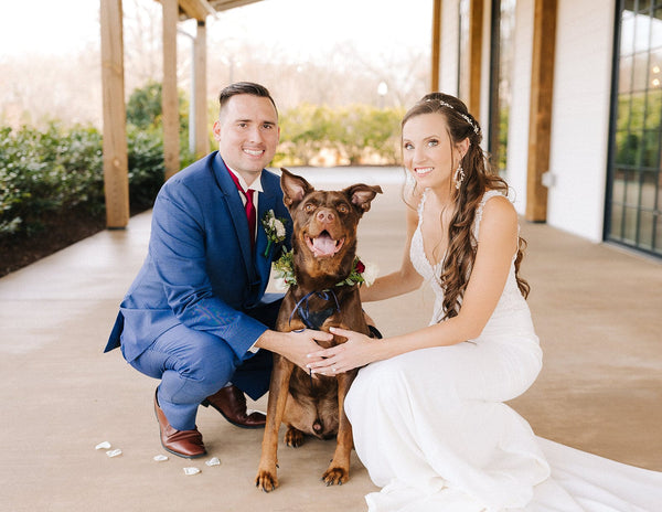 Cocoa Freshwater pearl & Austrian crystal earrings
